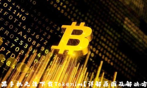 苹果手机无法下载Tokenim?详解原因及解决方案