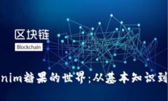 探索Tokenim糖果的世界：从