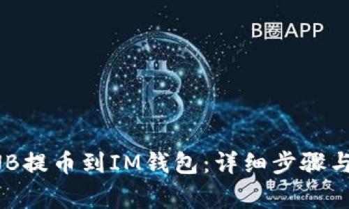 如何将BNB提币到IM钱包:详细步骤与注意事项