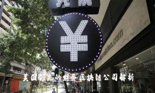 美国领先的财务区块链公司解析