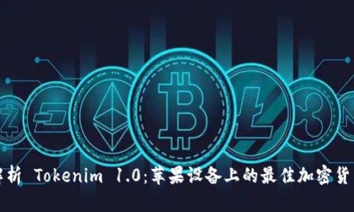 全面解析 Tokenim 1.0:苹果设备上的最佳加密货币钱包