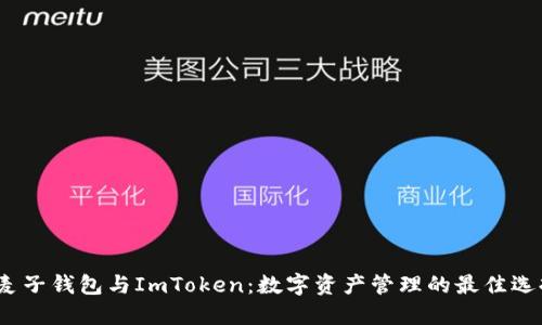 麦子钱包与ImToken:数字资产管理的最佳选择
