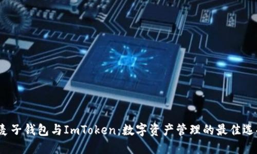 麦子钱包与ImToken:数字资产管理的最佳选择