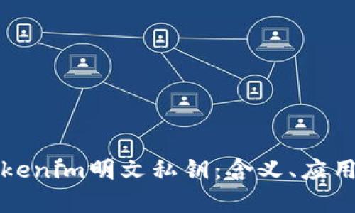 深入解析Tokenim明文私钥:含义、应用及安全管理