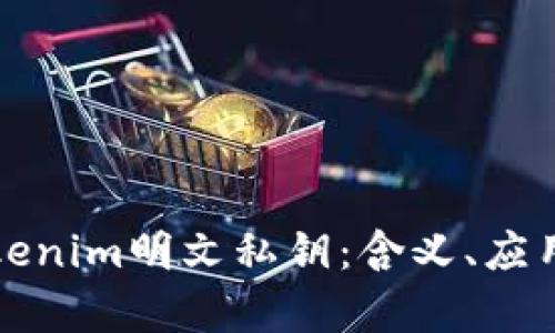 深入解析Tokenim明文私钥:含义、应用及安全管理