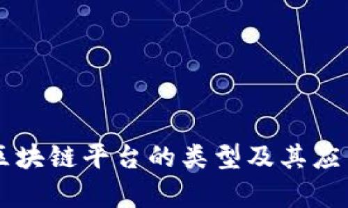 司法区块链平台的类型及其应用解析