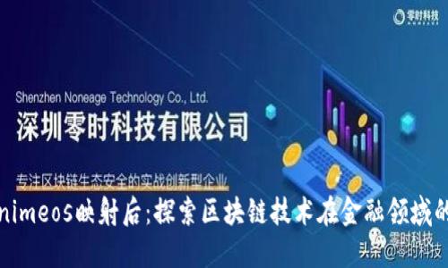 Tokenimeos映射后：探索区块链技术在金融领域的未来