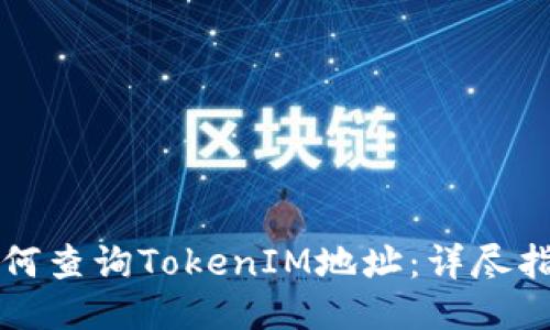 如何查询TokenIM地址:详尽指南
