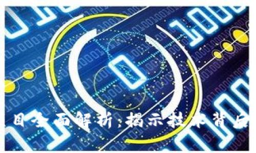 区块链原始项目全面解析：揭示技术背后的运作与价值