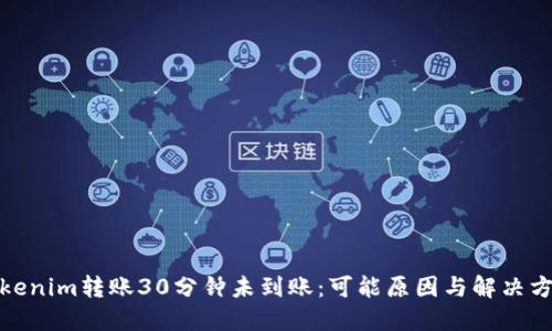 Tokenim转账30分钟未到账：可能原因与解决方案
