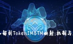 深入解析TokenIMBTM映射：机