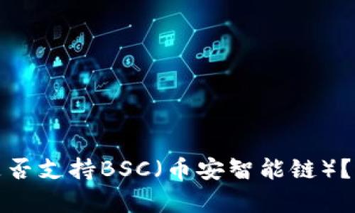 ImToken钱包是否支持BSC（币安智能链）？全面解析与指南