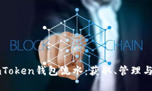 : 深入解析ImToken钱包流水：获取、管理与安全使用指南