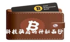 揭开区块链科技骗局的神