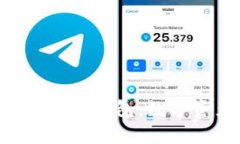 : 全方位解析云币网与im
