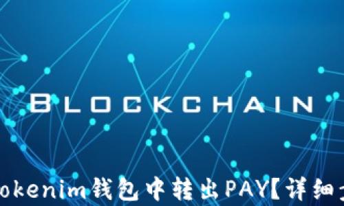 如何从Tokenim钱包中转出PAY?详细步骤解析