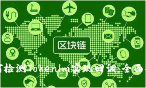 如何检测Tokenim实现回调:全面指南