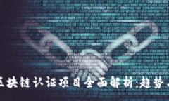 :国内区块链认证项目全面
