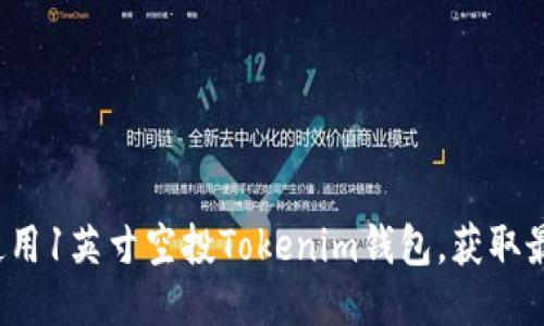 如何使用1英寸空投Tokenim钱包,获取最佳收益