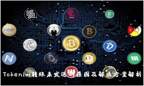 Tokenim转账未发送的原因及解决方案解析