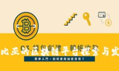 赞比亚的区块链平台探索