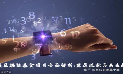 娄底区块链基金项目全面解析：发展现状与未来趋势