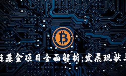 娄底区块链基金项目全面解析：发展现状与未来趋势