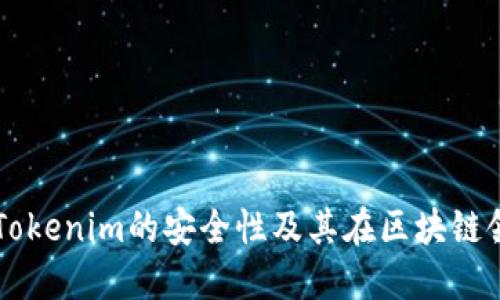 深入探讨Tokenim的安全性及其在区块链领域的应用