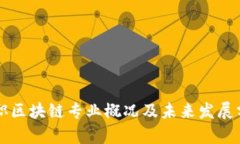 深职区块链专业概况及未