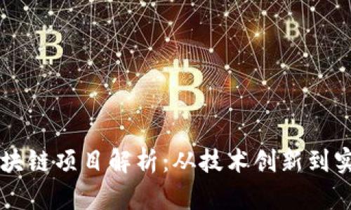 国内区块链项目解析:从技术创新到实际应用