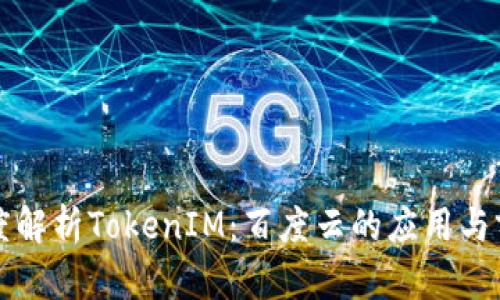 深度解析TokenIM:百度云的应用与前景
