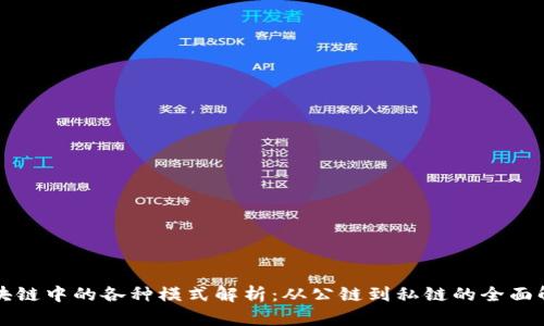 区块链中的各种模式解析:从公链到私链的全面解读