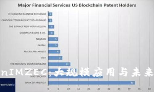 探索TokenIMZEC:大规模应用与未来发展前景