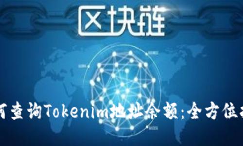 如何查询Tokenim地址余额:全方位指南