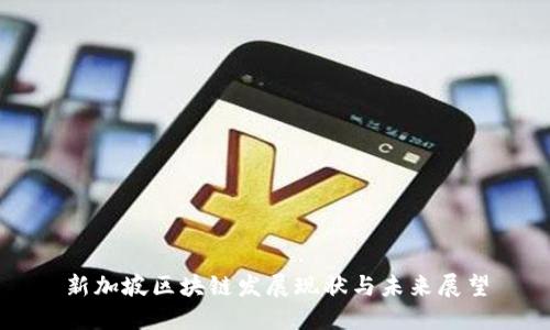 新加坡区块链发展现状与未来展望