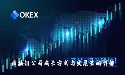 区块链公司成长方式与发展策略详解