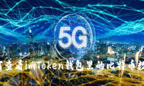 如何查看imToken钱包里的比特币数量？