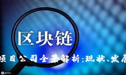 合肥区块链项目公司全景解析:现状、发展与市场展望