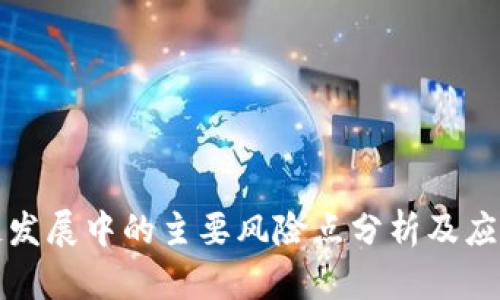 区块链发展中的主要风险点分析及应对策略