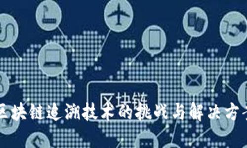 区块链追溯技术的挑战与解决方案
