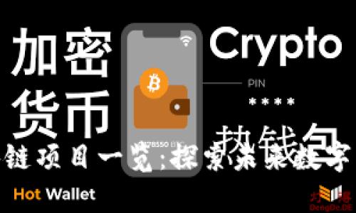娄底市区区块链项目一览:探索未来数字经济的新机遇