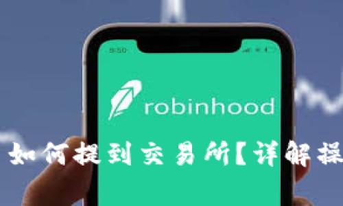 IM钱包里的币如何提到交易所?详解操作与注意事项