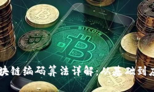 区块链编码算法详解:从基础到应用