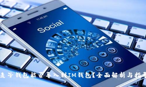 麦子钱包能否导入到IM钱包?全面解析与指导