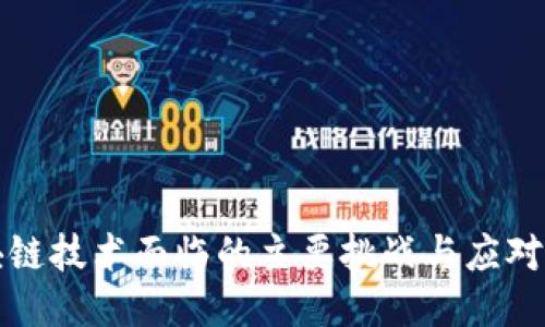 区块链技术面临的主要挑战与应对策略