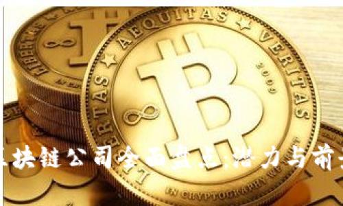 海南区块链公司全面盘点:潜力与前景分析