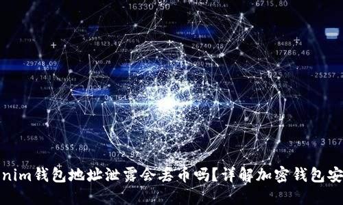 Tokenim钱包地址泄露会丢币吗?详解加密钱包安全性