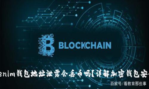 Tokenim钱包地址泄露会丢币吗?详解加密钱包安全性