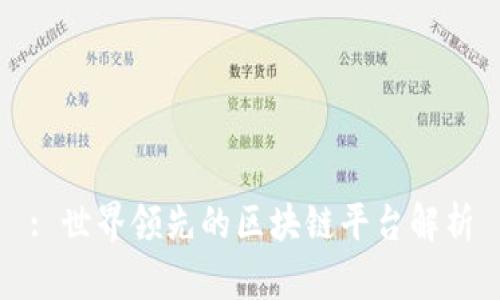 : 世界领先的区块链平台解析