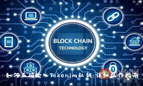 如何正确输入Tokenim私钥:详细操作指南